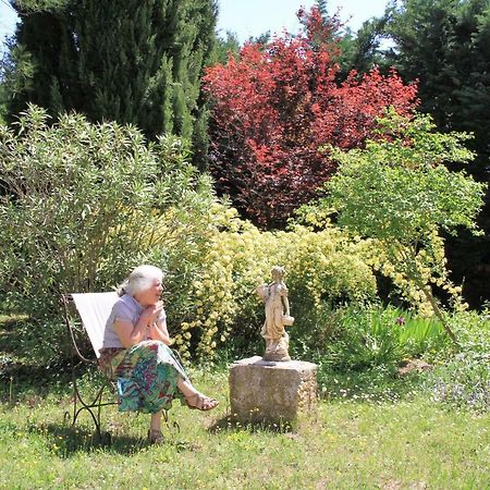 Gite Derriere Les Oliviers -Le Mas De La Cigale Bleue Caumont-sur-Durance Zewnętrze zdjęcie